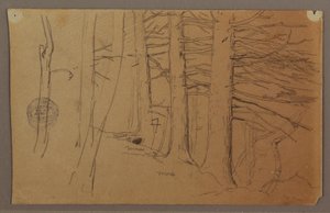 Lower Parts of a Group of Trees Growing on a Slope by Frederic Edwin Church