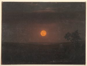 Moonlight