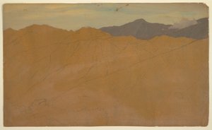 Palm Trees and Housetops, Ecuador by Frederic Edwin Church
