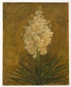 Penguin Plant by Frederic Edwin Church