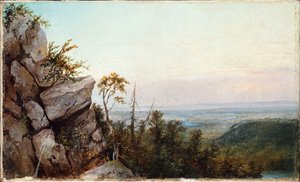 Rocks and Landscape