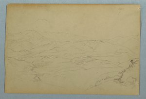 Sketches of Plants and of Part of the Balustrade Bordering the Terrace at the Inn at Guaranda, Ecuador