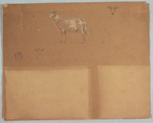 Studies of Sheep, Ecuador or Colombia by Frederic Edwin Church
