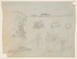 Study with Tree Tops, Trees, Five Designs of Plants, and a Distant Island by Frederic Edwin Church