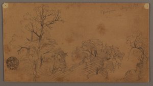 Tree Tops, Niagara by Frederic Edwin Church