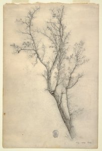 Tree with Many Boughs by Frederic Edwin Church