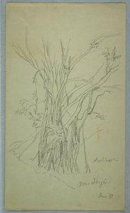 Tree with Many Separated Trunks near Jorje, Ecuador, June 1857 by Frederic Edwin Church