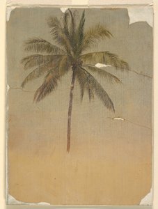 Trunk and Top of a Palm Tree by Frederic Edwin Church