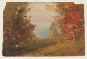 Woodland Scene in Autumn