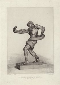 An Athlete Strangling a Python
