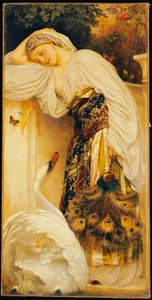 Odalisque