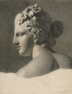 Study of a Plaster Cast