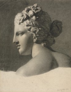 Study of a Plaster Cast