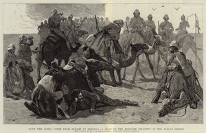 With the Camel Corps from Sarass to Dongola, a Halt of the Mounted Infantry in the Nubian Desert by Frederic Villiers