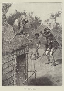 Highway Robbery by an Indian Monkey by Frederick Barnard