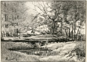 Pool in the Adirondacks