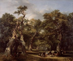 A Forest Glade, Arden, Warwickshire
