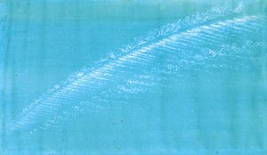 Mackerel Scales and Mare