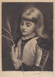 Lady Bug by Frederick W. Freer