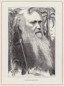Charles Darwin, Natural Selection by Frederick Waddy