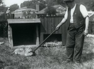 Lion Cub Playing with a Mop, Held by Its Keeper, on the Grass in Front of Its Den, London Zoo, September 1925 by Frederick William Bond