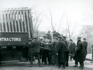 A crowd of onlookers stand by as a Rhinoceros is unloaded from a truck, by keepers, at London Zoo in 1924