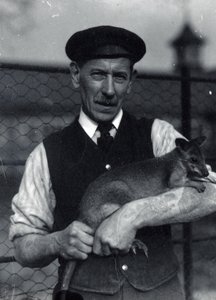 A keeper holds a wallaby, October 1920