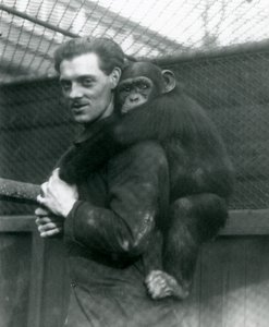 A Man Carries Chimpanzee Sally on His Back, London Zoo, 1924