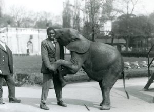 Young African Pygmy Elephant Stands on Her Hind Legs to Embrace Her African Trainer, While the Keeper Looks On, London Zoo, July 1925