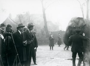 An Indian Elephant, Possibly Sundermalah, Taking Part in an Outside Broadcast from London Zoo, 1925 by Frederick William Bond