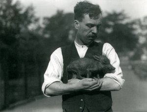 Keeper Harry Warwick Cradles a Baby Warthog in His Arms at London Zoo