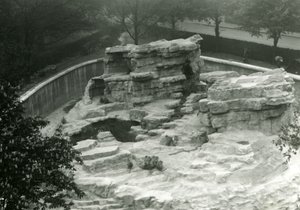 Monkey Hill Seen from the Top of the Mappin Terraces, London Zoo