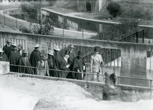 Sir Peter Chalmers Mitchell with Ethiopian Regent Haile Selassie and his entourage, viewing a Brown Bear on the Mappin Terraces, London Zoo by Frederick William Bond