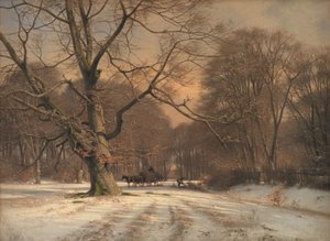 Winter Landscape. Scene from Jægersborg Deer Park