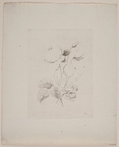 Flower Motif by Frederik Schepelern
