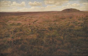 Study of a Moor