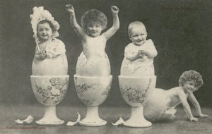 Babies hatching from eggs in eggcups by French Photographer