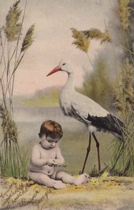 Baby with Stork by French Photographer