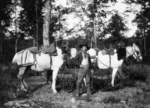 Bucheron with his horses, in the vicinity of Bourmont in Haute-Marne. Ducos Collection.