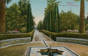Cypress Walk, Alcazar, in Seville, Spain by French Photographer
