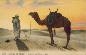 Algeria: The Prayer in the Desert