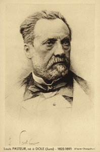 Louis Pasteur (1822-1895), French chemist and microbiologist by French Photographer