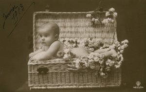 Baby in a Wicker Basket with Flowers by French Photographer