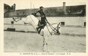 Saumur (Maine-et-Loire), Cavalry School, The Croupade by French Photographer
