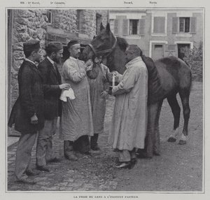 Taking a sample of blood from a horse at the Institut Pasteur, Paris by French Photographer
