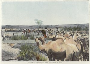 Watering the Camels at the Source in the Desert by French Photographer