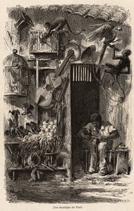 A shop at Para, illustration for Mr. Biard