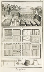 A vegetable garden, from The Encyclopedia of Science, Art and Engineering by Denis Diderot by French School