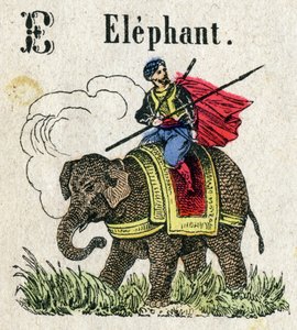 Abecedary. Letter E like Elephant. Small Encyclopedic Alphabet, Popular Series. Epinal Imaging, late 19th century