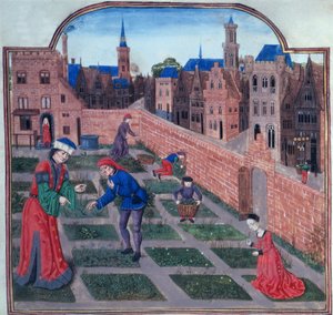 A walled herb garden in a town, from Livre des profits ruraux by Piero de Crescenzi of Bologna by French School